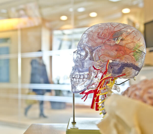 Neurology